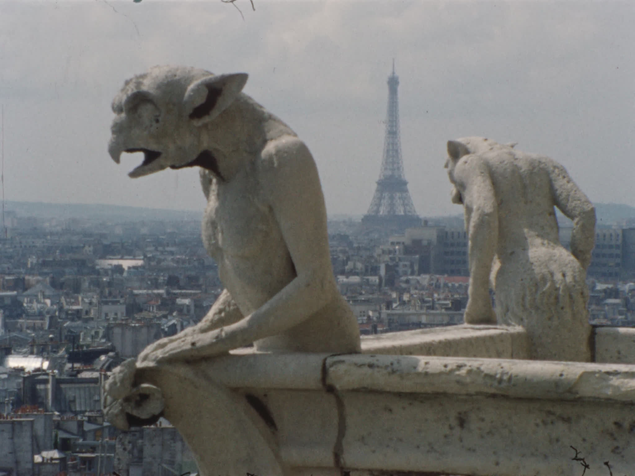 Gargoyles Overlooking Paris