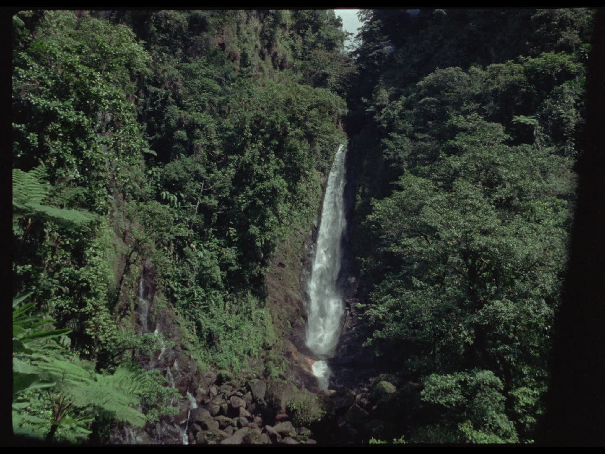 Waterfall in Dominica