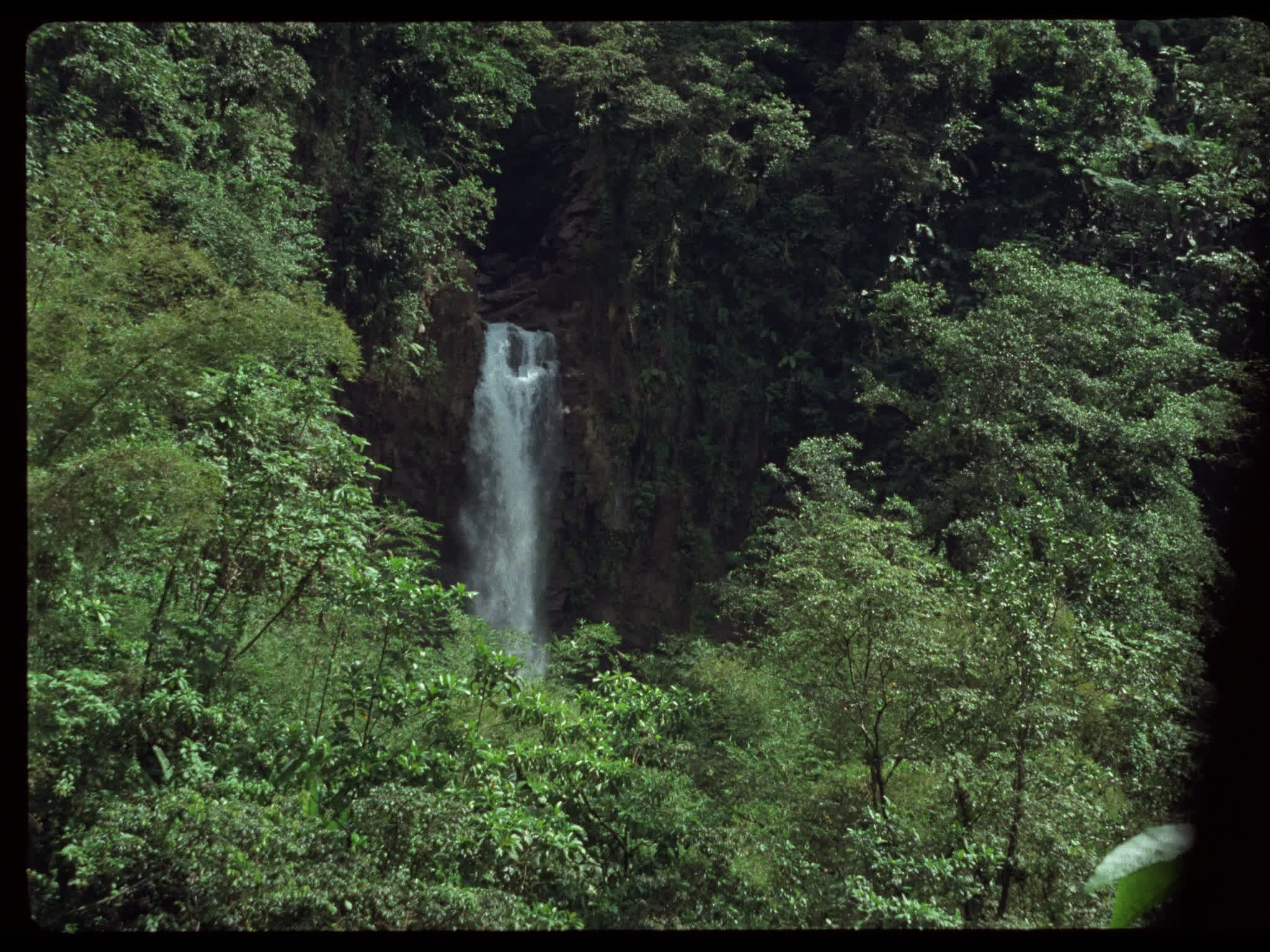 Waterfall in Dominica