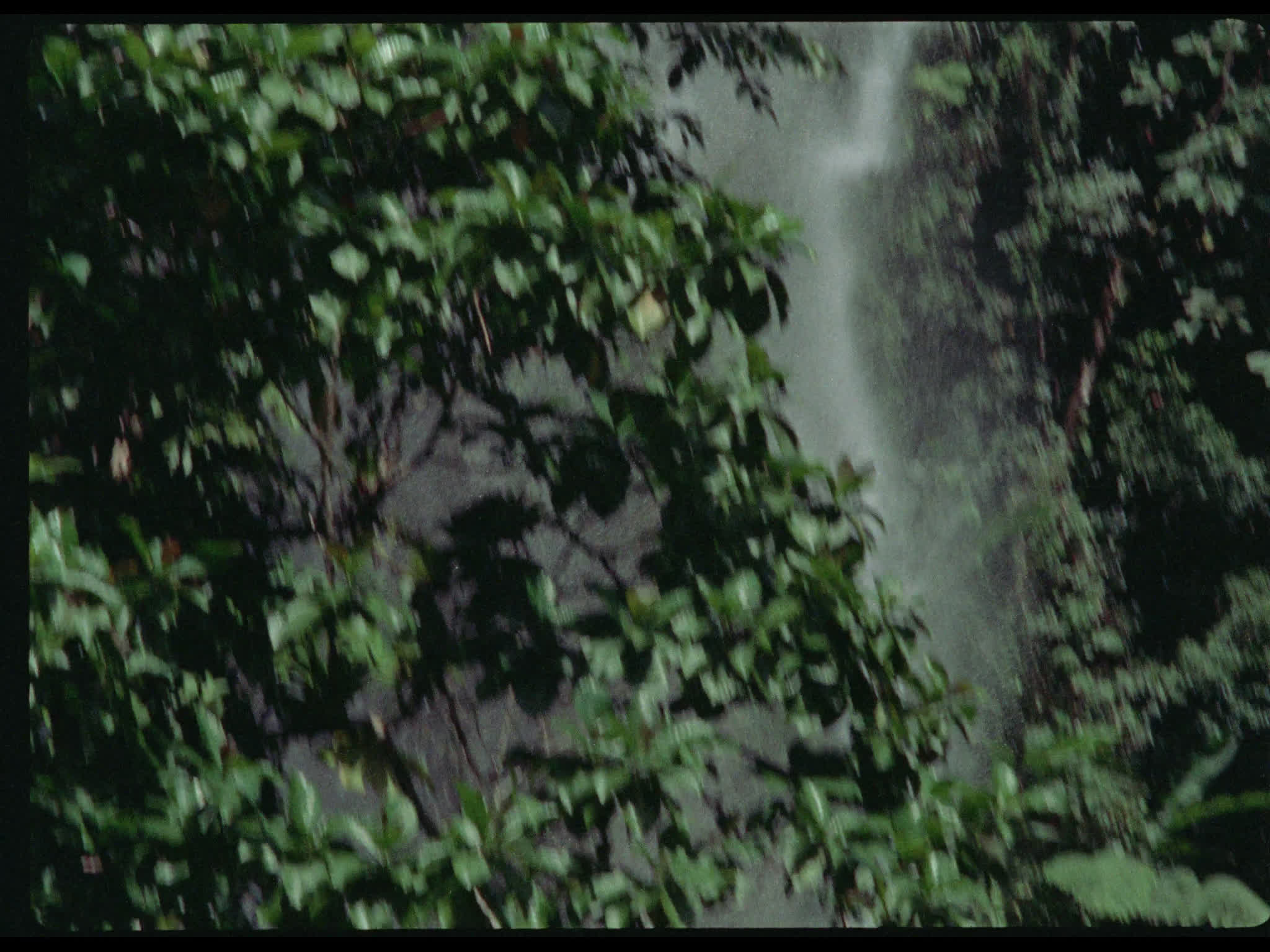 Waterfall in Dominica