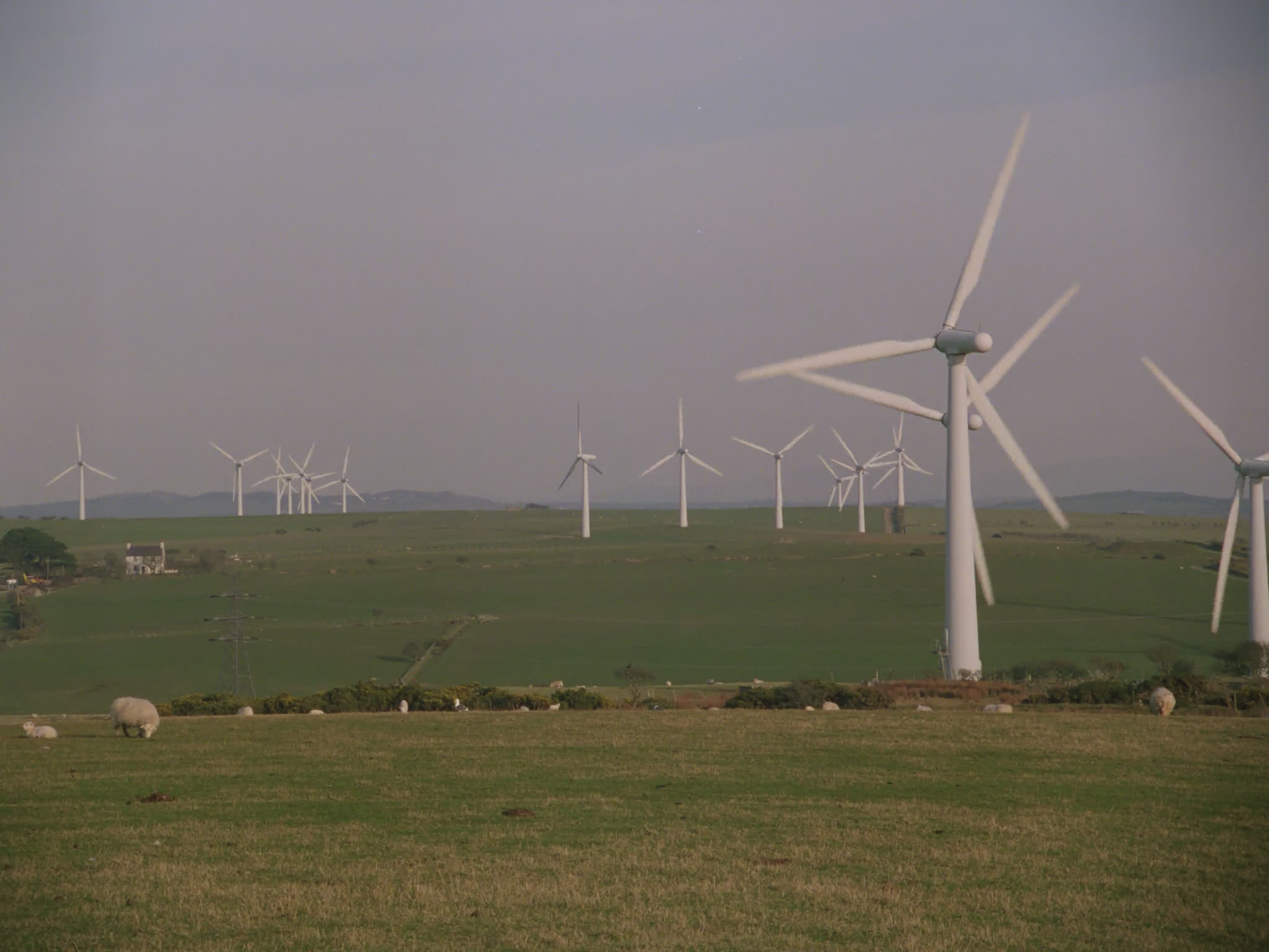 Wind Farm in UK