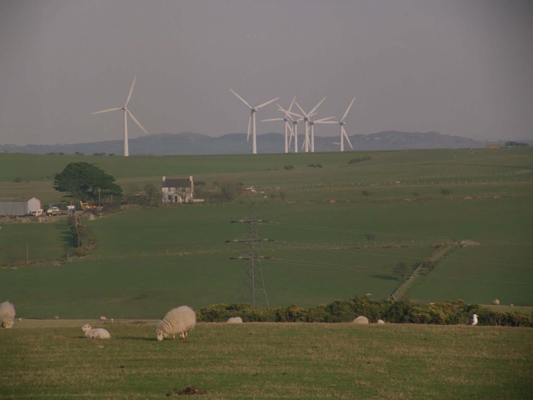 Wind Farm in UK