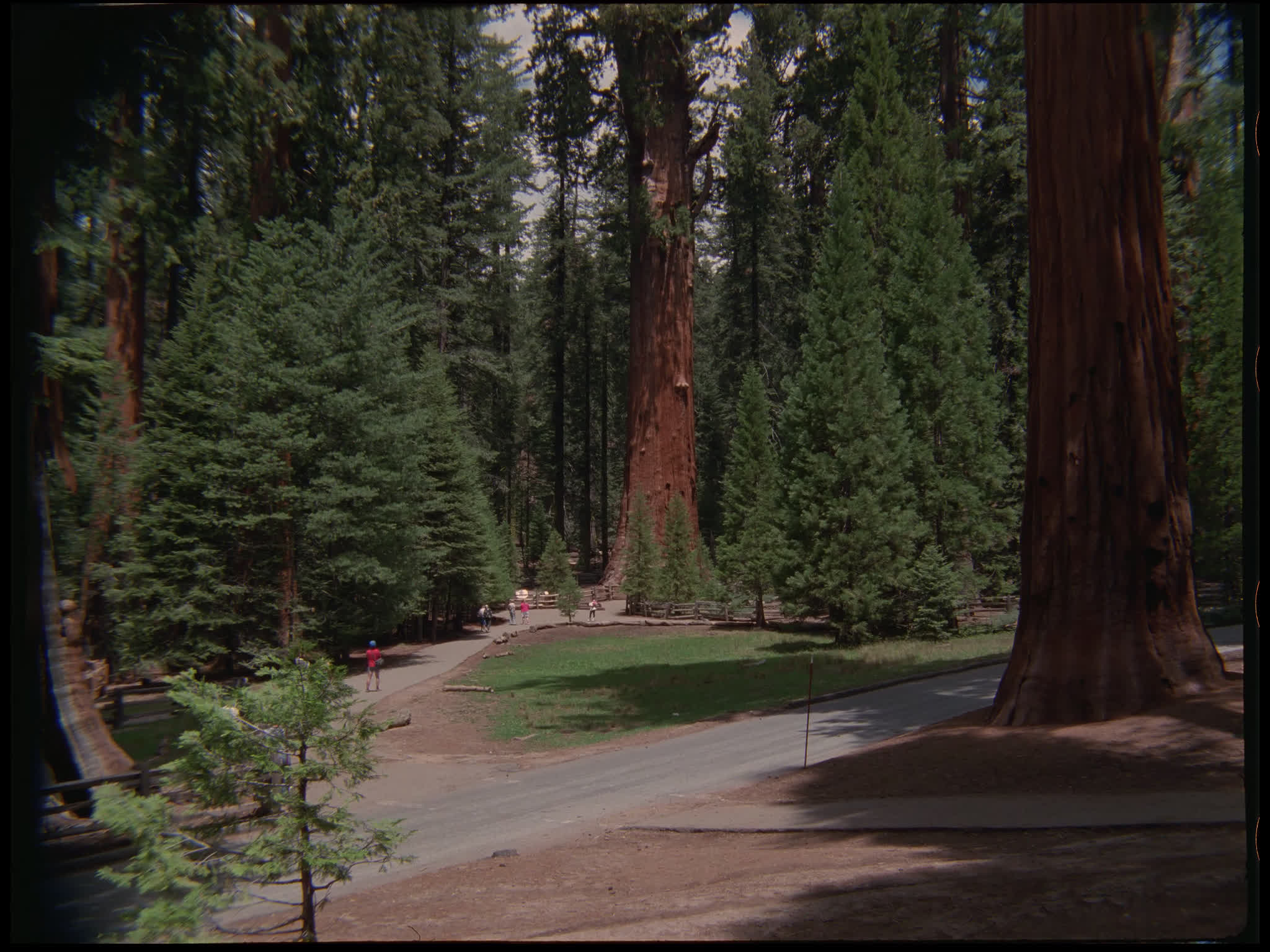 Sequoia National Park
