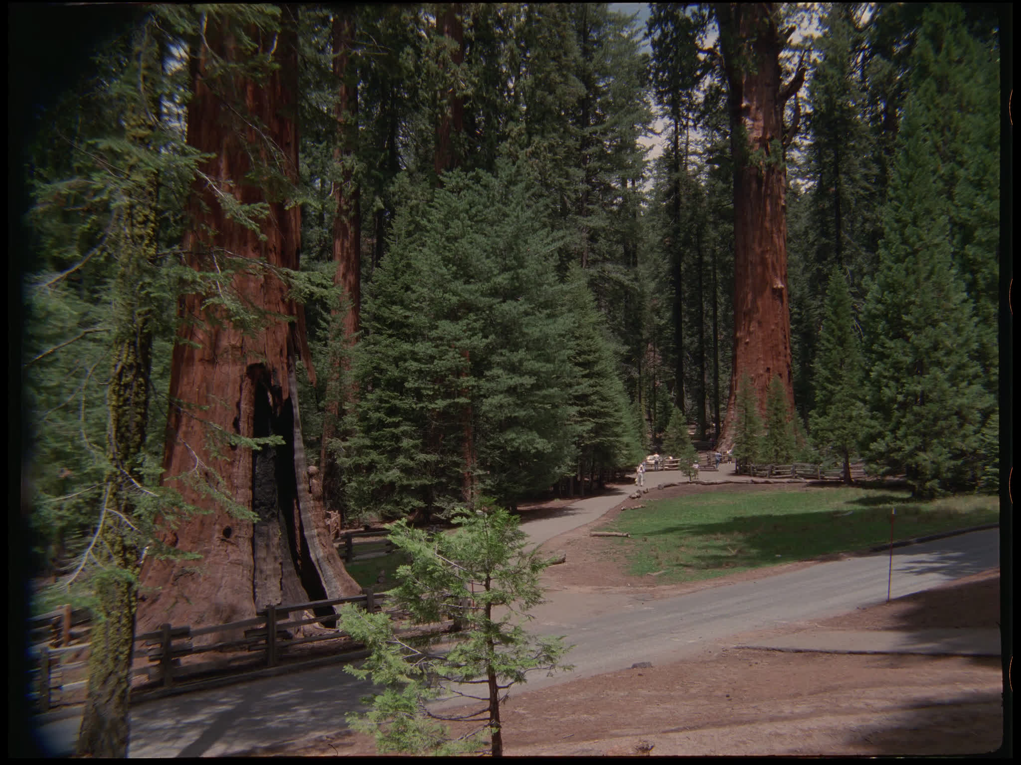 Sequoia National Park