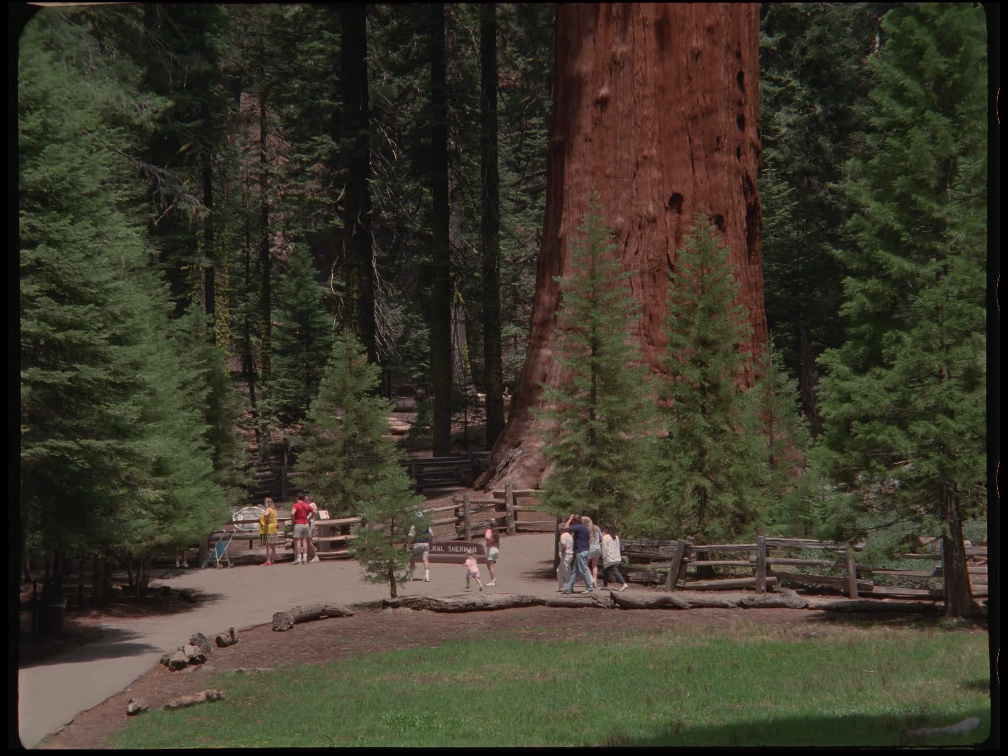 Sequoia National Park