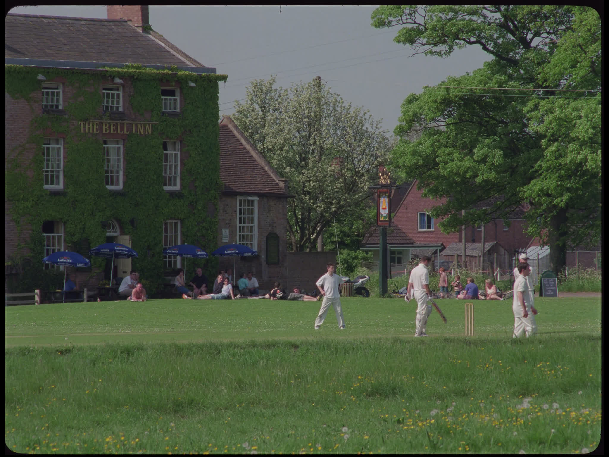 Village Cricket
