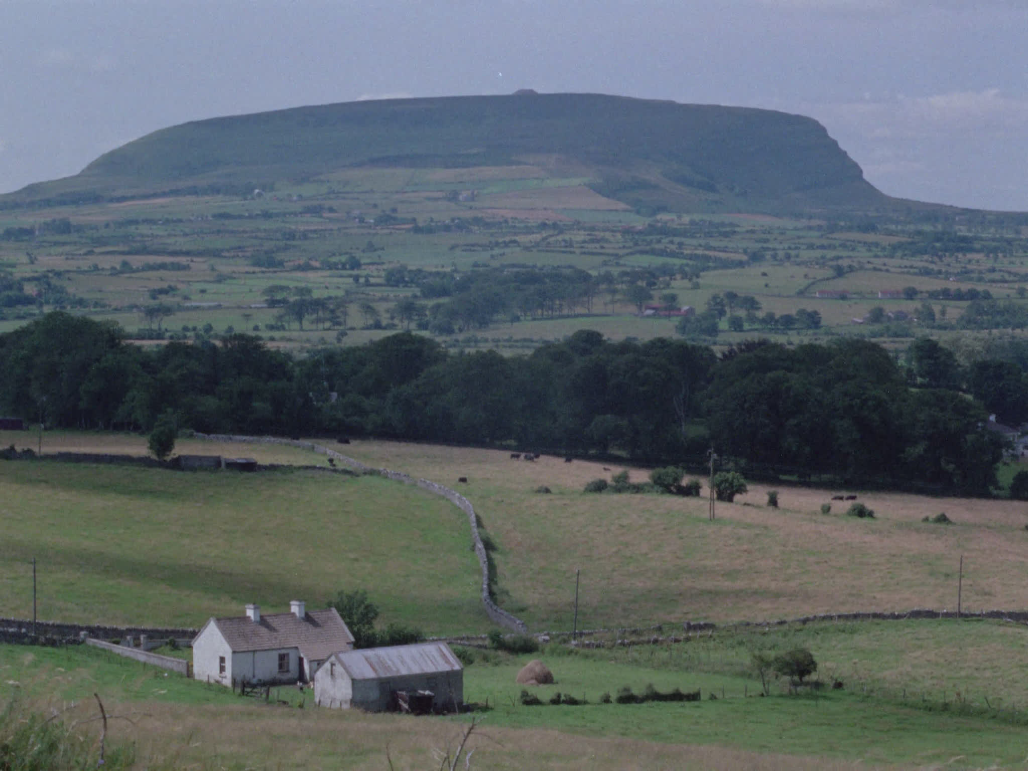 Farm Land