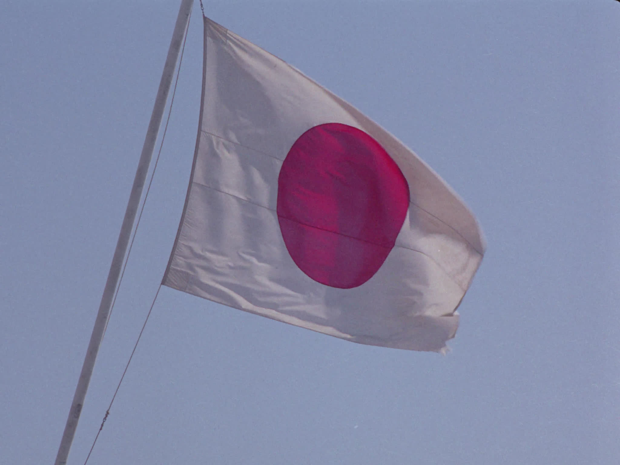 Japanese Flag 