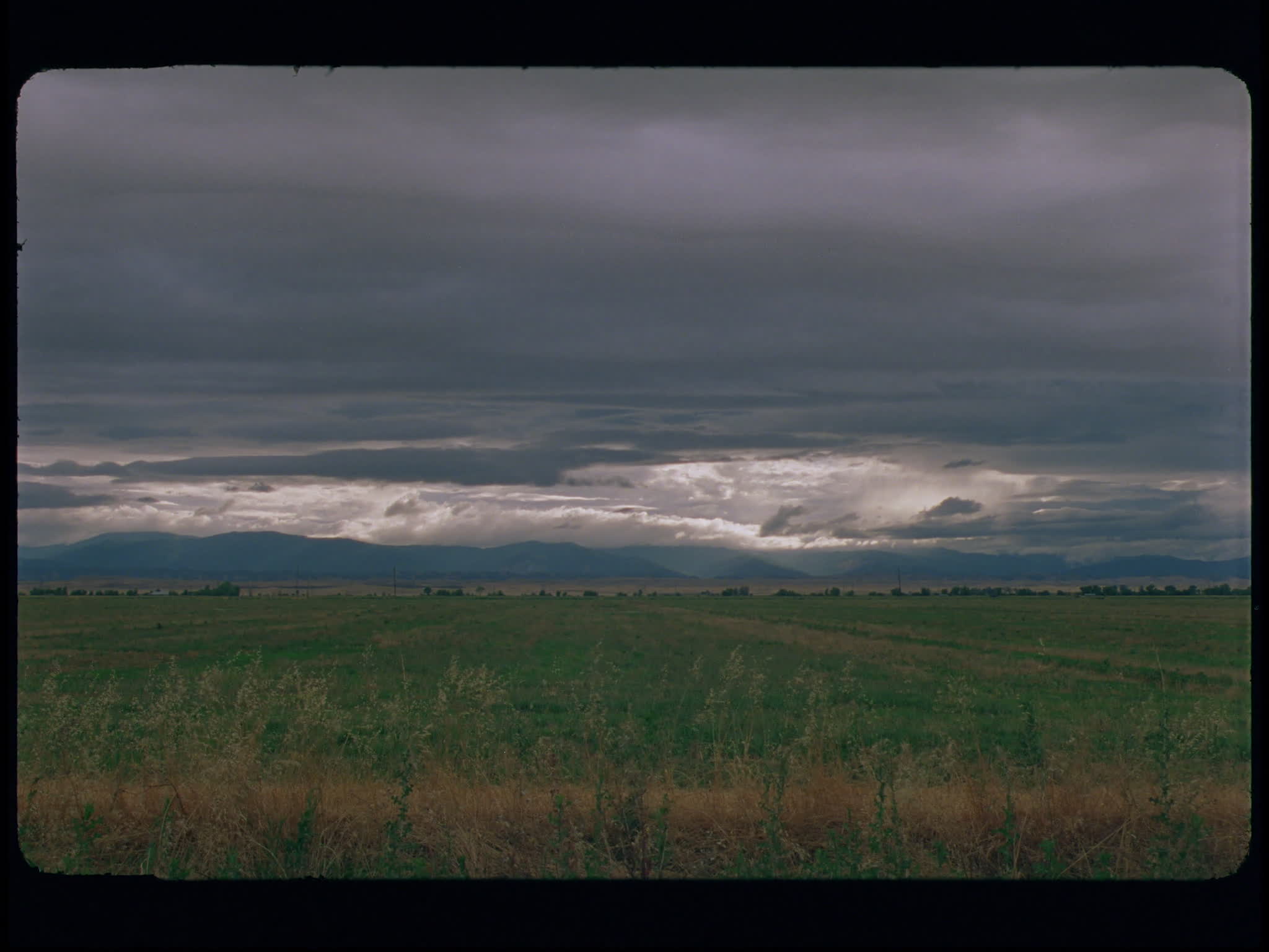 Wheat Fields