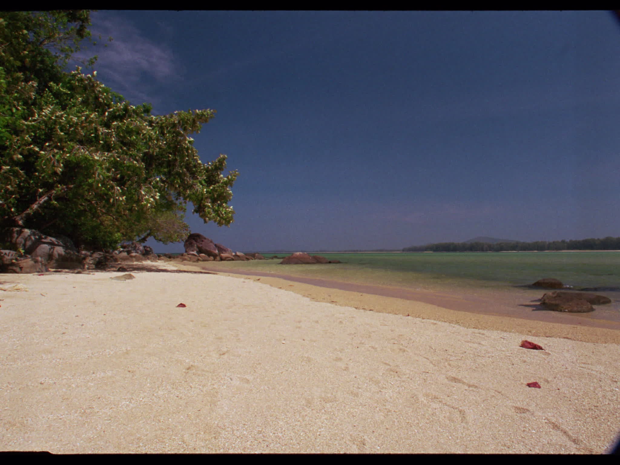 Tropical White Sand Beach