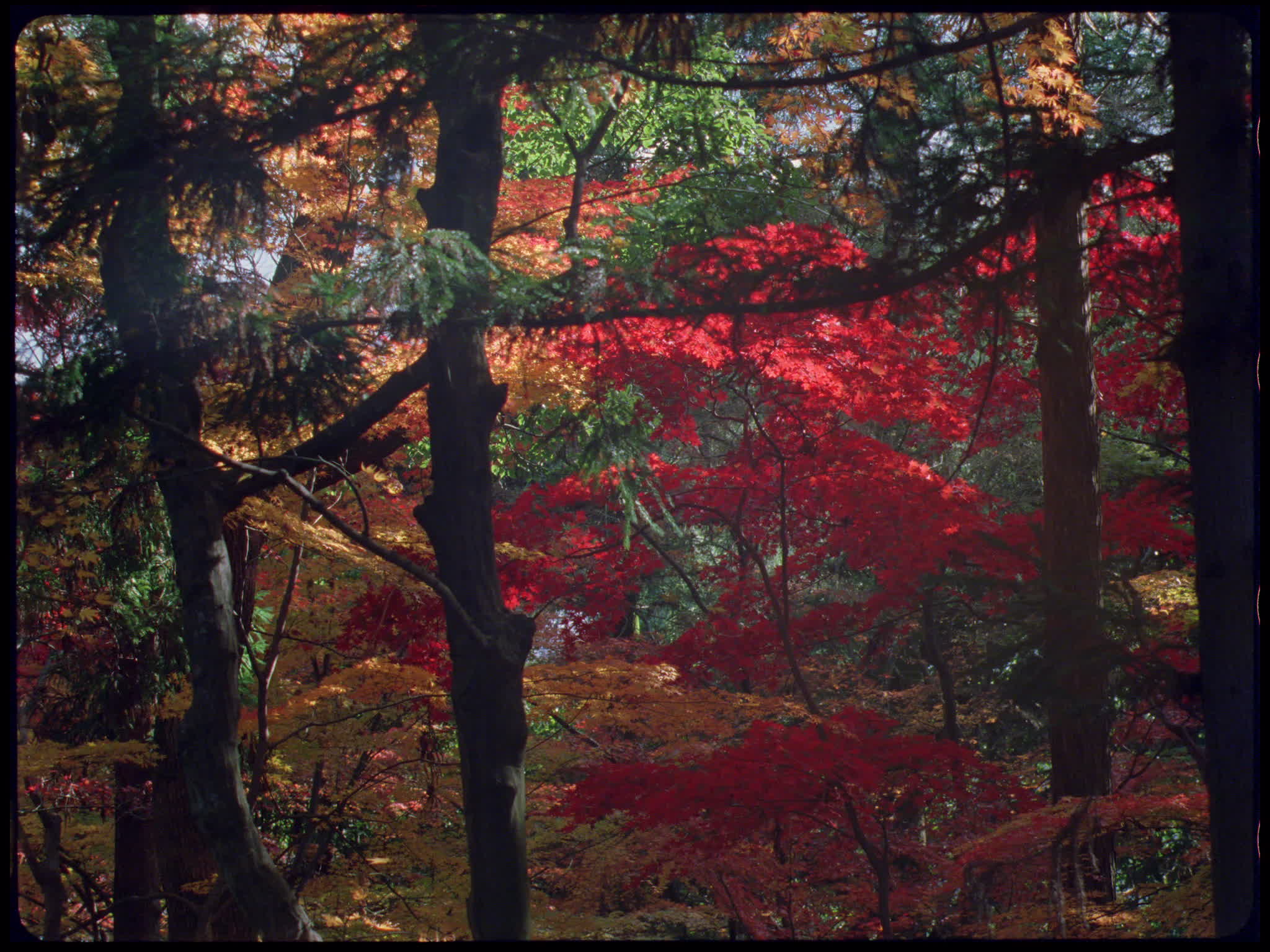 Komyoji Temple