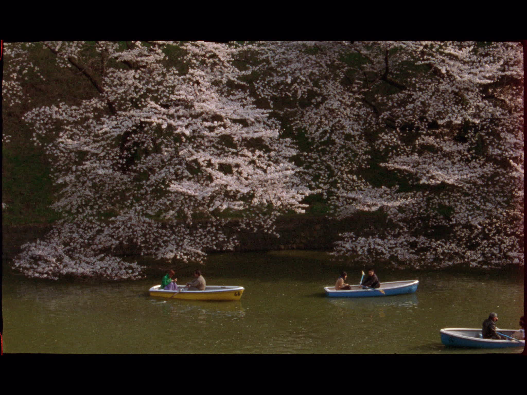 Chidorigafuchi Moat
