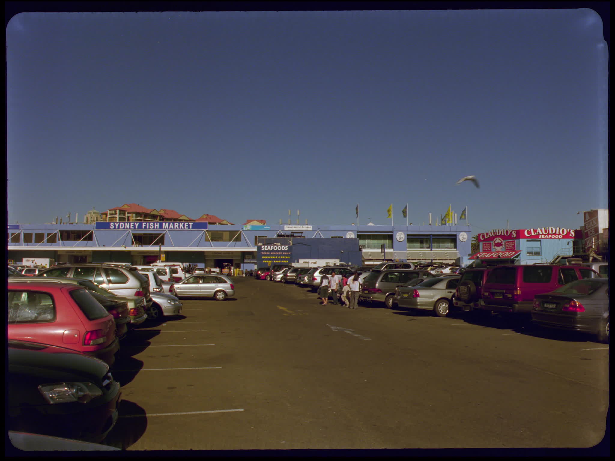 Sydney Fish Market