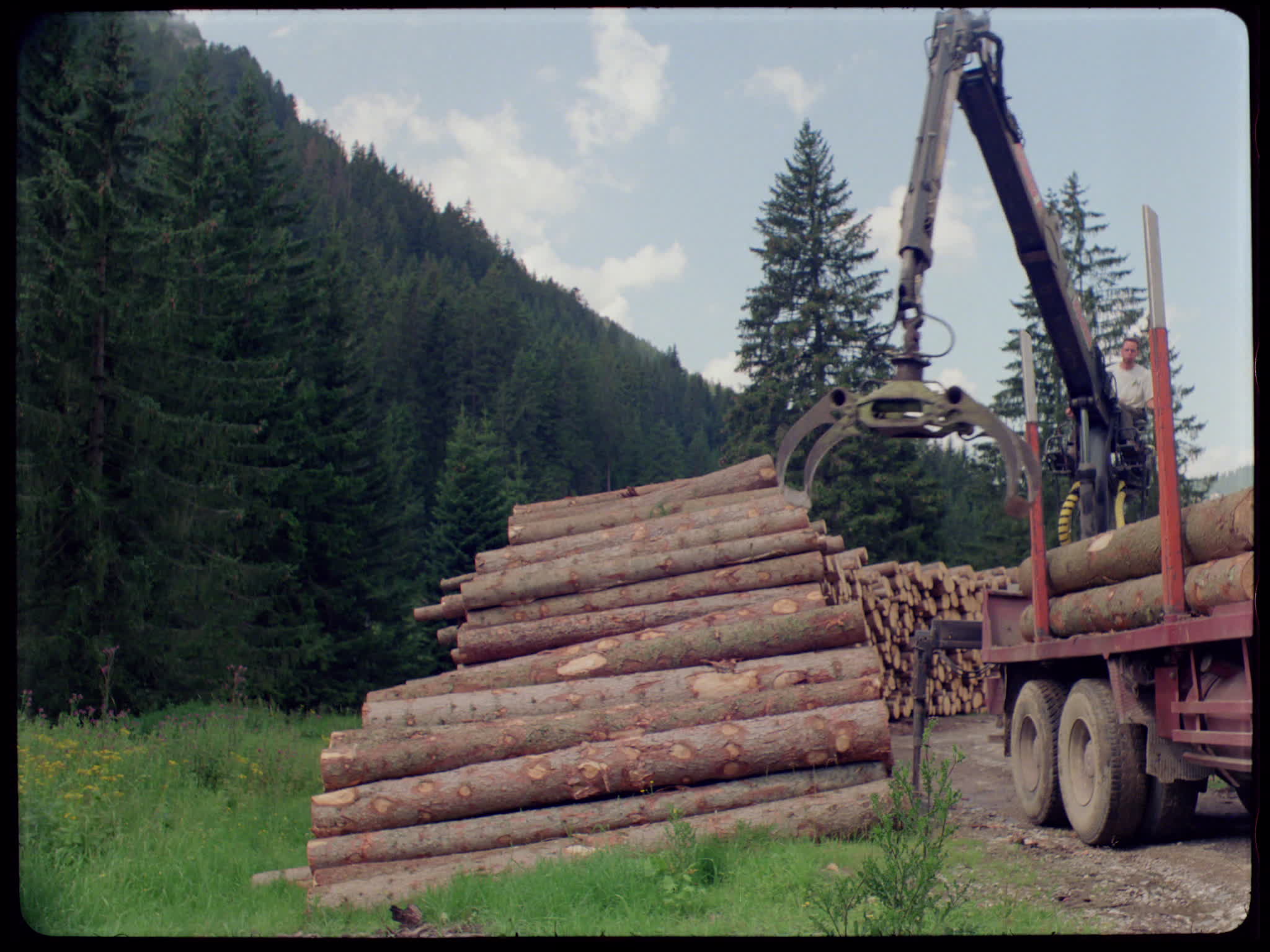 Logging